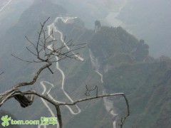 冶容姿鬓_20073151232491684
