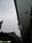 冶容姿鬓_20073151251231429