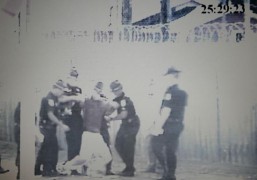 冶容姿鬓_20073151695220600