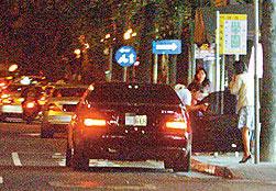 芳香盈路_20073119421265183