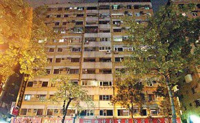 芳香盈路_20073119422950436