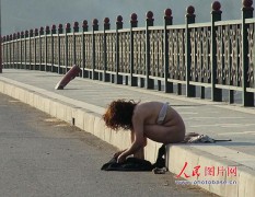 人淡如菊_20074231765059288