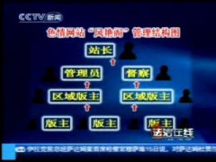 人淡如菊_20074231774332775