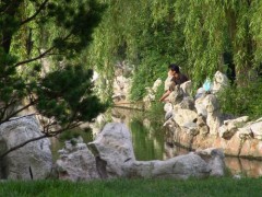人淡如菊_20074241130978861