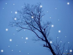 玉软花柔_2007488351863378