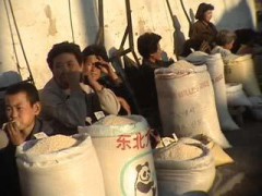 花容月貌_200732811275379959