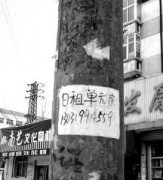花容月貌_200732816301015435