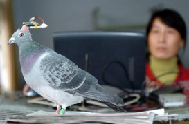 明眸皓齿_200732116414134072