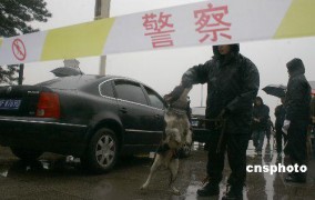 含苞待放_200731419571896382