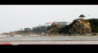 含苞待放_200731510101445337
