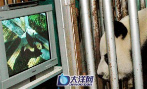 娇艳欲滴_20073271703397468