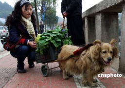 尽善尽美_20073261485234600