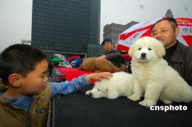 尽善尽美_20073261492328647