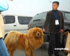 尽善尽美_20073261495323089