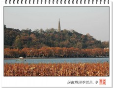 朱阁青楼_2007411032435525